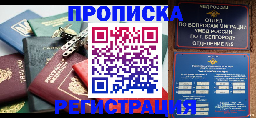 временная регистрация недорого в Могочи